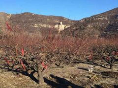 iphone_upload_pic-蒙山大佛景区