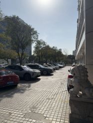 -大麦微针植发丨全国连锁