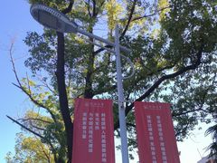 -同济大学(沪西校区)
