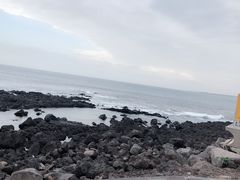 -涉地可支