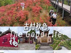 -瑞安圣井山景区