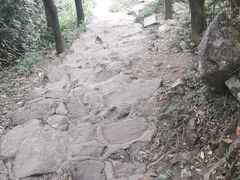 -梧桐山风景名胜区