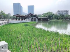 -西海子公园