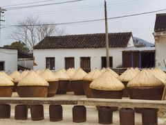 -苏州市吴中区光福窑上花果蜜饯厂