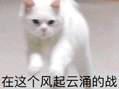 -汤姆熊欢乐世界(罗斯福店)
