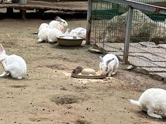 -羊亭河湿地公园