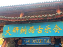 -宣科纳西古乐·非遗音乐(大水车店)