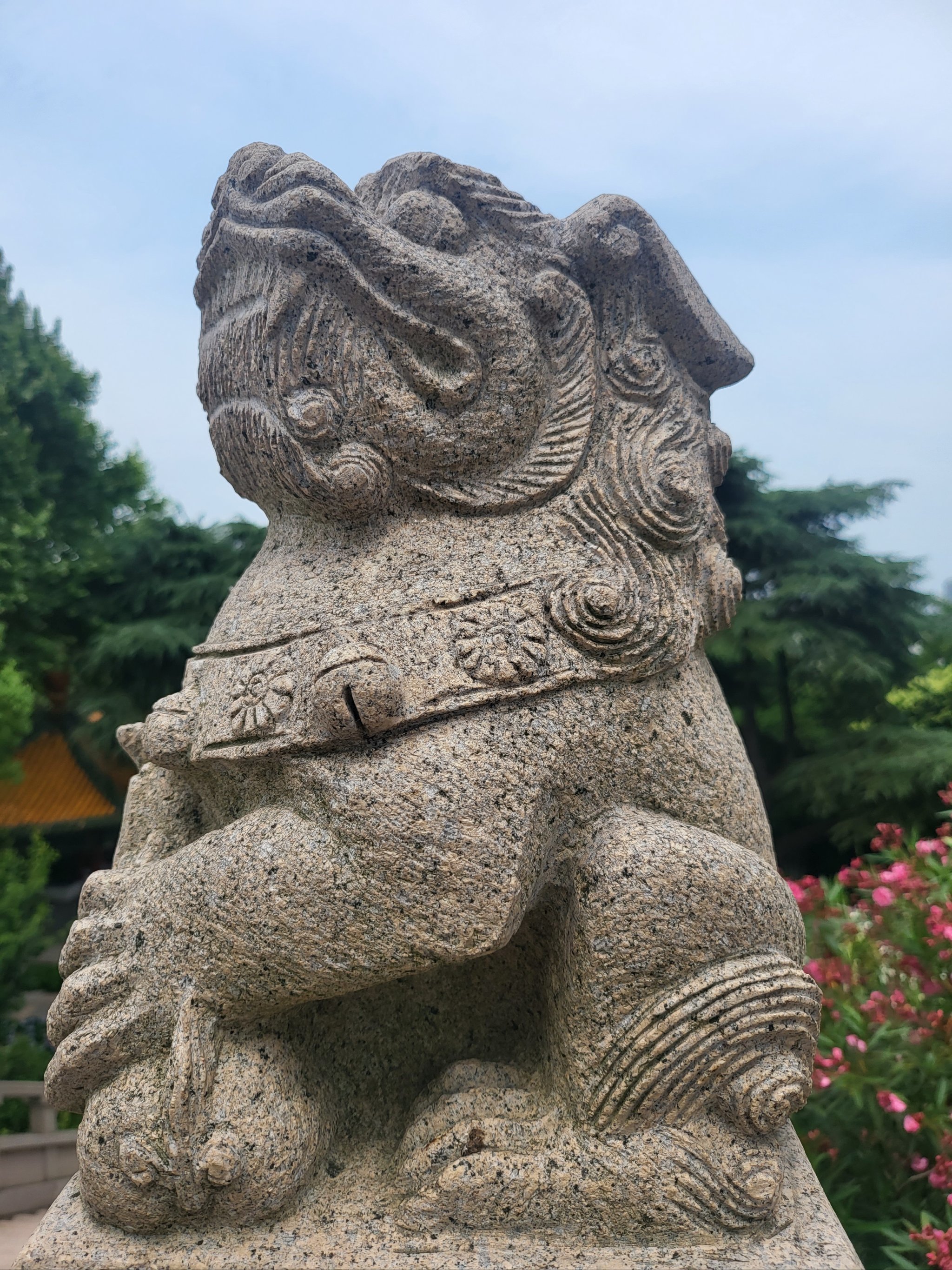 阅江楼的狮子🦁