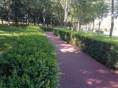 -洨河生态公园