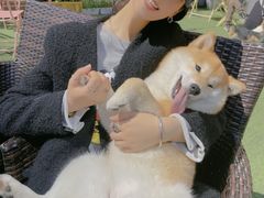 -浣熊柯尔鸭土拨鼠·电玩咖