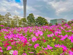 -海心沙亚运公园