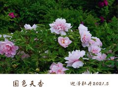-迎泽公园