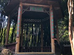 -望江楼公园