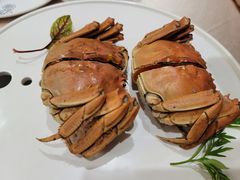 -食神鱼头佛跳墙(百子湾旗舰店)