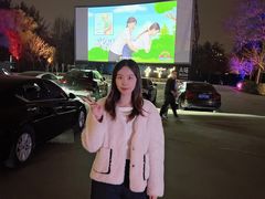 -枫花园汽车电影院(朝阳公园店)