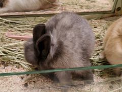 -龙猫仔乐园(惠福东路店)