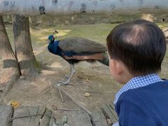 -哈尔滨北方森林动物园