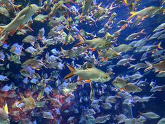 -成都浩海立方海洋公园