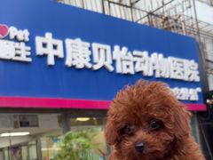 -宠颐生中康贝怡动物医院