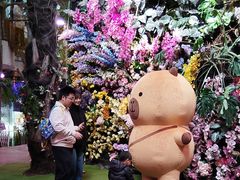 -正佳雨林生态植物园
