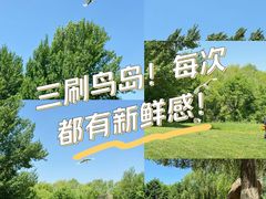 -沈阳鸟岛