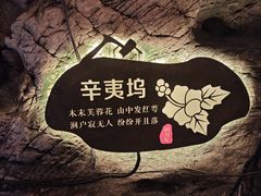 -辋川溶洞