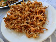 -庆岭迎宾园正宗活鱼馆