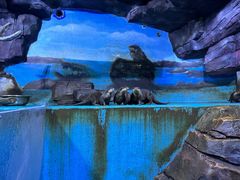 -多彩贵州城极地海洋世界