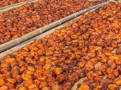 -楠溪江风景名胜区