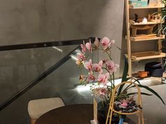 -施奈儿.洗头頭療.按摩SPA.采耳(上梅林店)