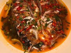 -味派菜园子(德星路店)