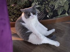 -暗楼·剧本杀·桌游