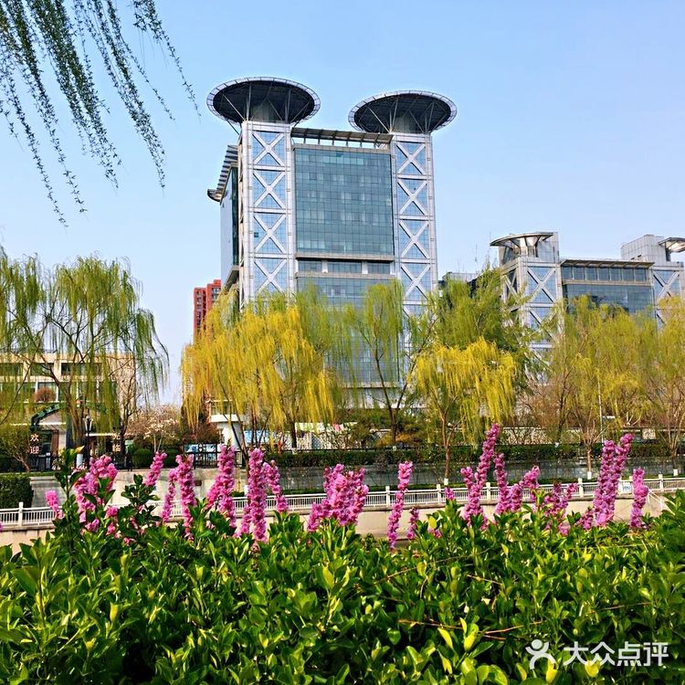 北京绿道，顾名思义，北京的绿色道路。不去深究其定义