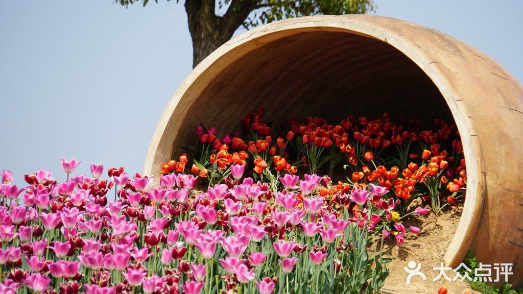 梦中花园——湖北孝感金卉庄园