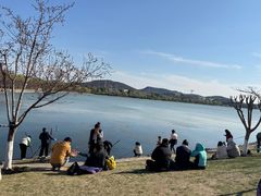 -羊山湖公园