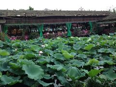 iphone_upload_pic-荷香居(洞企石路店)