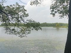-东湖落雁景区