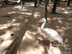-鄱阳湖国家湿地公园