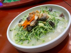 上汤豆苗-南海渔村(火炬园店)