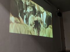 -敦煌石窟文物保护研究陈列中心