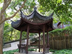 -上海佘山国家森林公园西佘山园