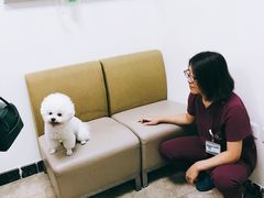 -美联众合动物医院·24h转诊中心