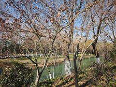 -阳澄湖半岛旅游度假区