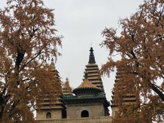 -北京石刻艺术博物馆(五塔寺)