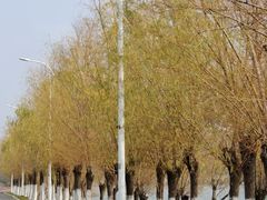 -艾溪湖湿地公园
