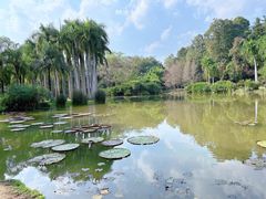 -中国科学院西双版纳热带植物园
