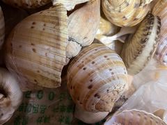 -阿军排档·烧烤
