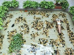 -桃苑居阳澄湖·蟹千恩(美人腿店)