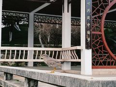-太子山公园(园东路)