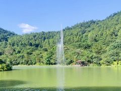 -广州白江湖森林公园